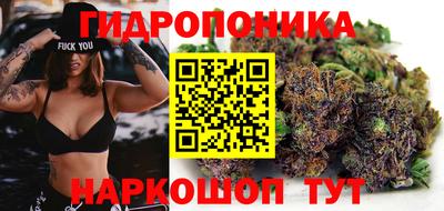 марки lsd Новозыбков