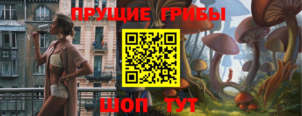 Галлюциногенные грибы GOLDEN TEACHER  Вход с VPN  цены   Тамбов  Галлюциногенные грибы Magic Shrooms 